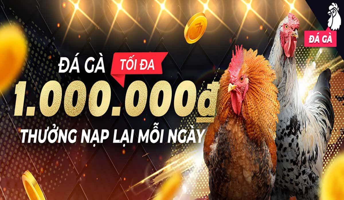 Đá gà Online Đá gà Online